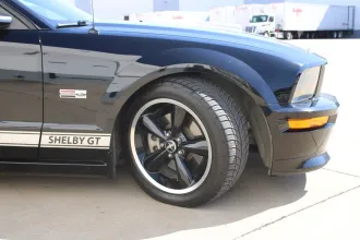 Mustang 11