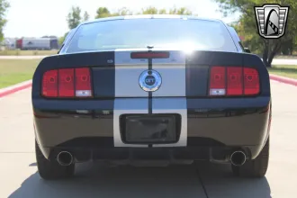 Mustang 14