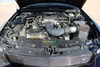 Mustang 20