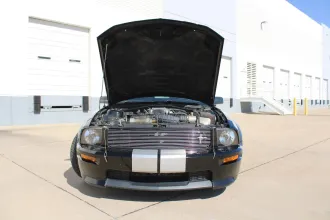 Mustang 21