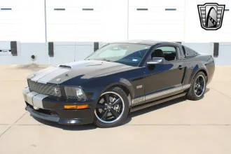 Mustang 26