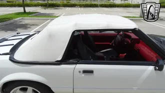 Mustang 3