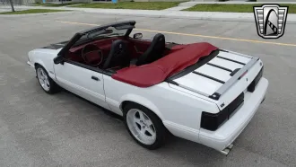 Mustang 6