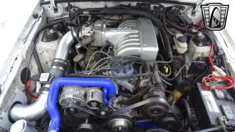 Mustang 18