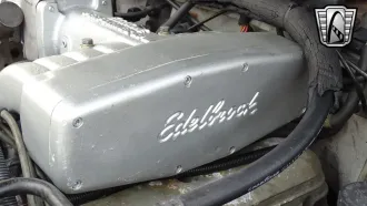Mustang 19