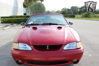 Mustang 6