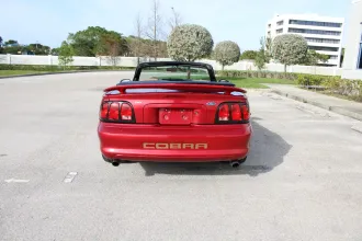 Mustang 8