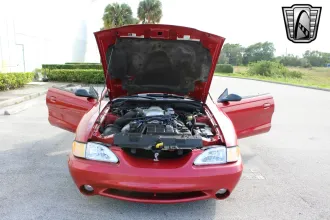 Mustang 10