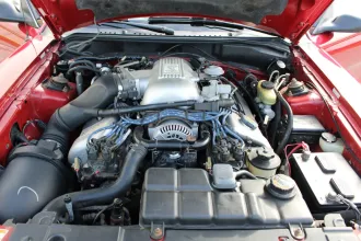 Mustang 14