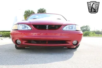Mustang 26
