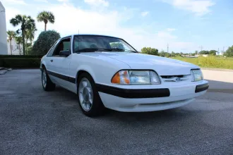 Mustang 8