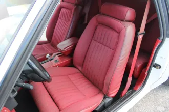Mustang 11