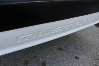 Mustang 19