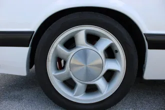 Mustang 20