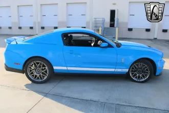 Mustang 6
