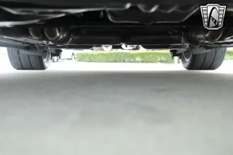 Mustang 14