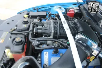 Mustang 17