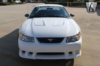 Mustang 6