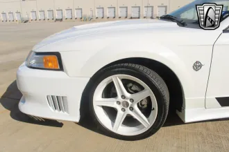 Mustang 8