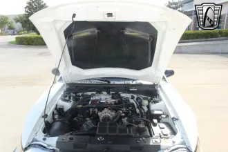 Mustang 13