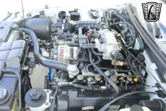 Mustang 14