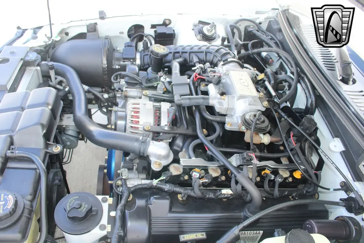 Carousel Image 14