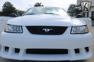 Mustang 25