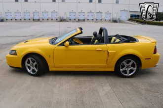 Mustang 3
