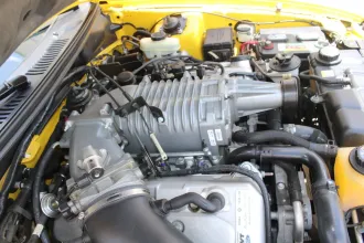 Mustang 15