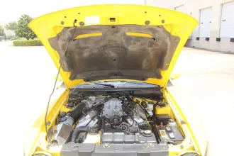 Mustang 16