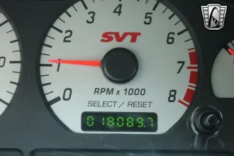 Mustang 19