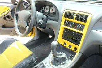 Mustang 23