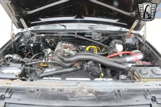 Bronco 13