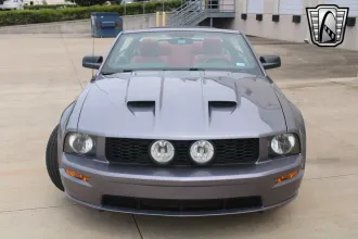 Mustang 3