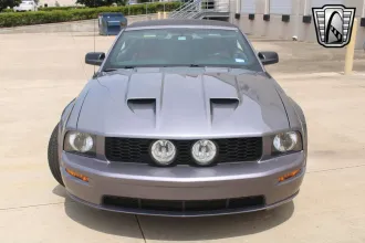 Mustang 6