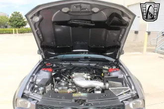 Mustang 14