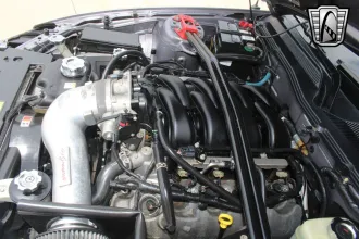 Mustang 15