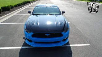 Mustang 5