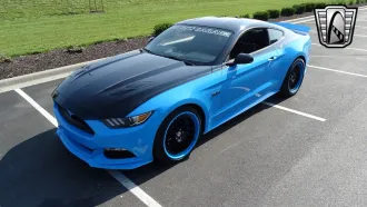 Mustang 6