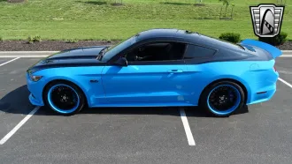 Mustang 7