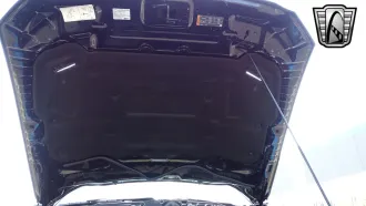 Mustang 16