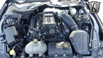 Mustang 17