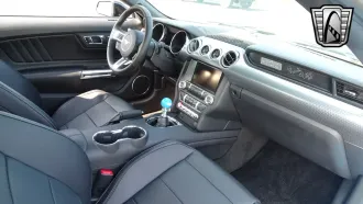 Mustang 25
