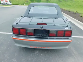 Mustang 12
