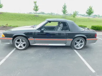 Mustang 13