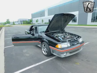 Mustang 17