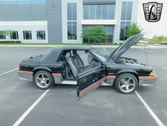 Mustang 18