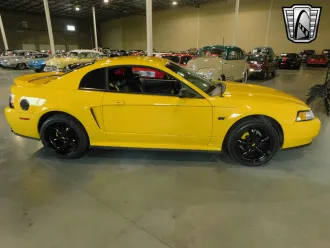 Mustang 6