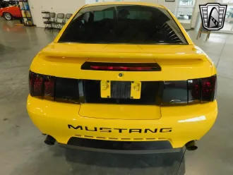 Mustang 8