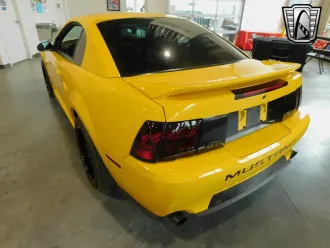Mustang 9